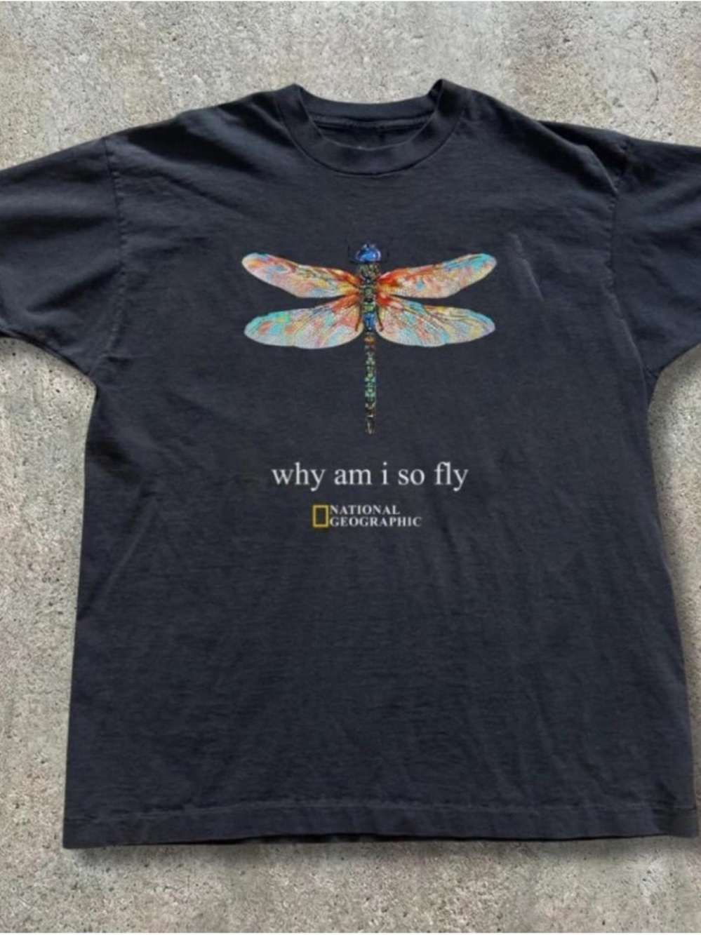 National Geographic "Why Am I So Fly" Black Dragonfly Graphic Tee